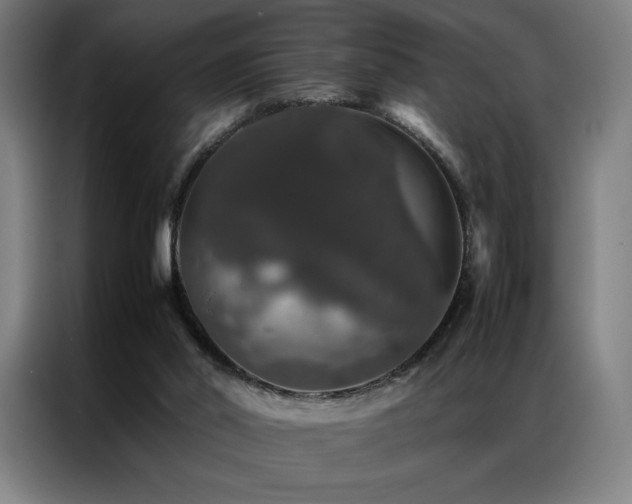 X0000087370014200704201236