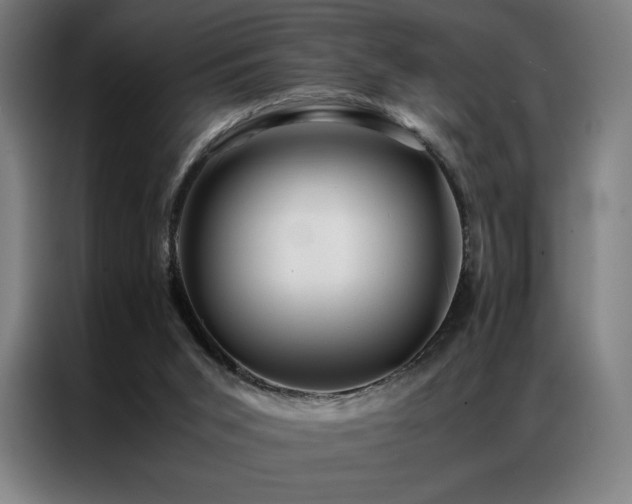 X0000087370015200704201236
