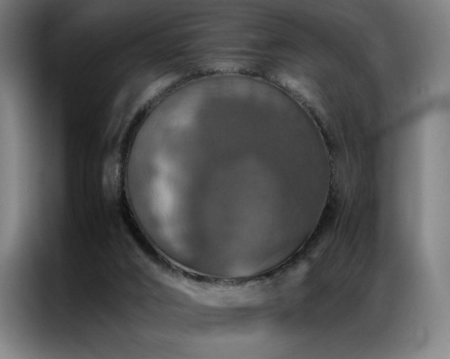 X0000087370016200704201236