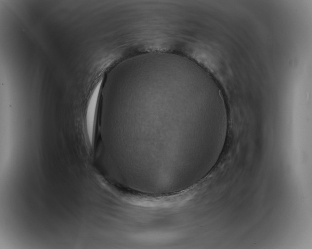 X0000087370017200704201236