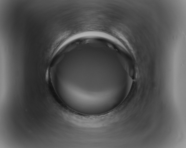 X0000087370019200704201236