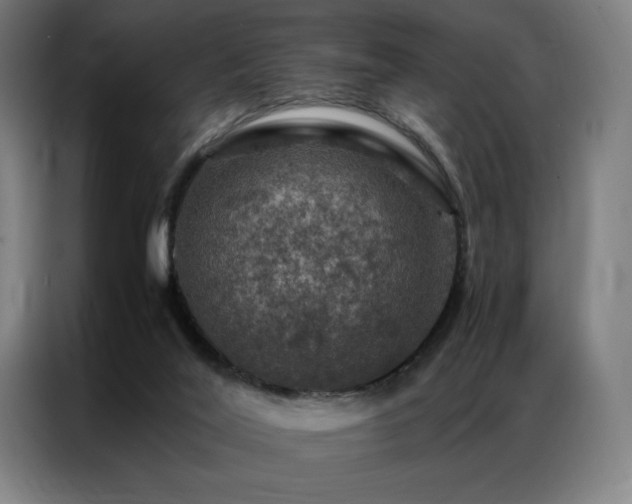X0000087370020200704201236