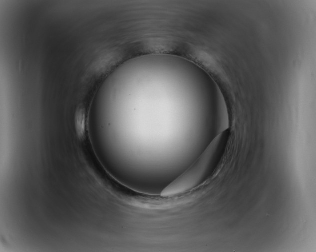 X0000087370021200704201236