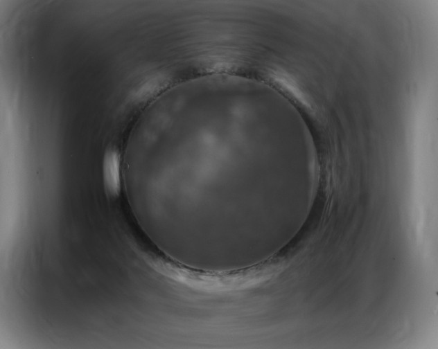 X0000087370022200704201236