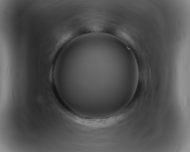 X0000087370023200704201236