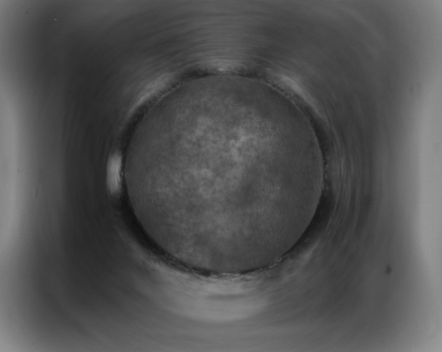 X0000087370024200704201236