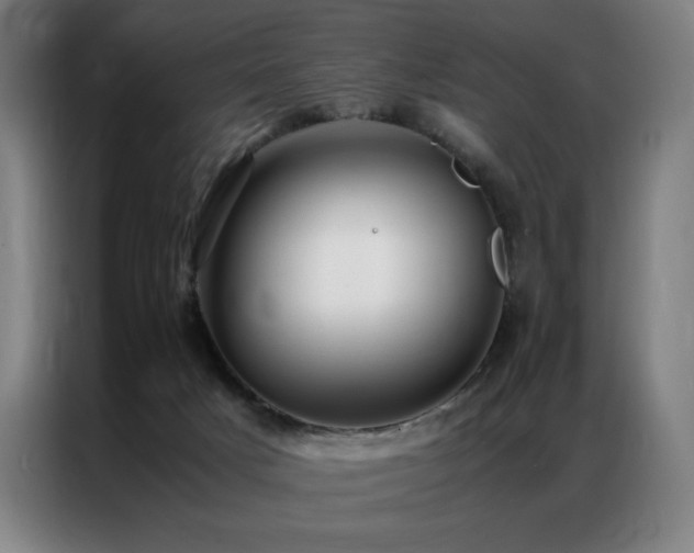 X0000087370025200704201236