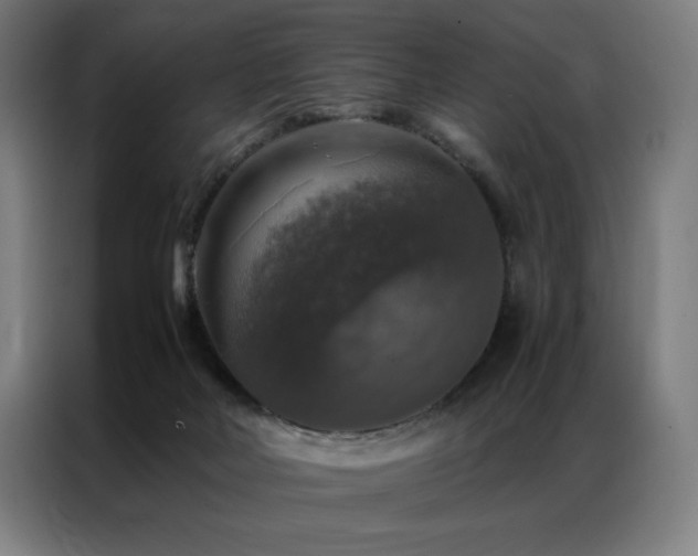 X0000087370026200704201236