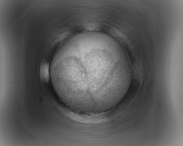X0000087370028200704201236