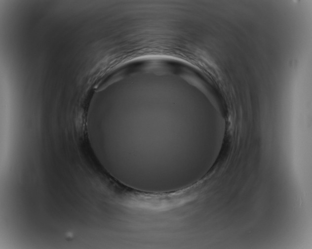 X0000087370029200704201236