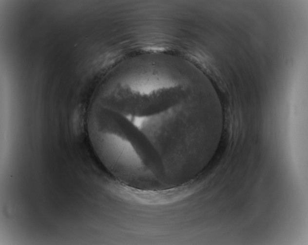 X0000087370030200704201236