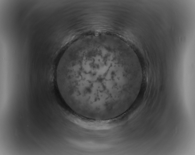 X0000087370032200704201236