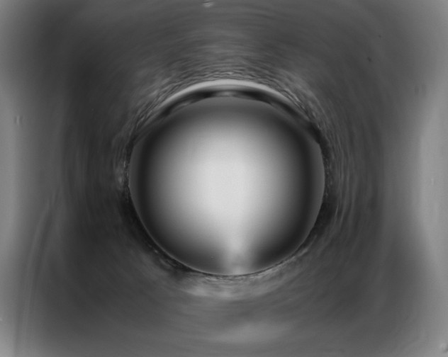X0000087370033200704201235