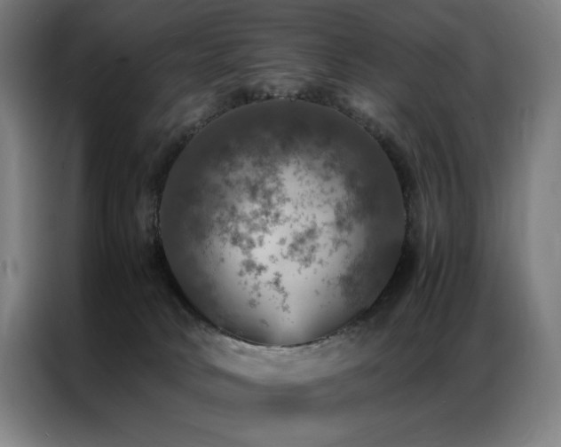 X0000087370034200704201235