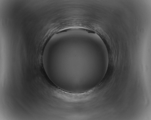 X0000087370035200704201235