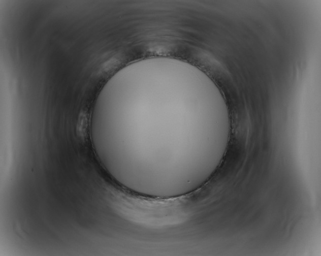X0000087370036200704201235