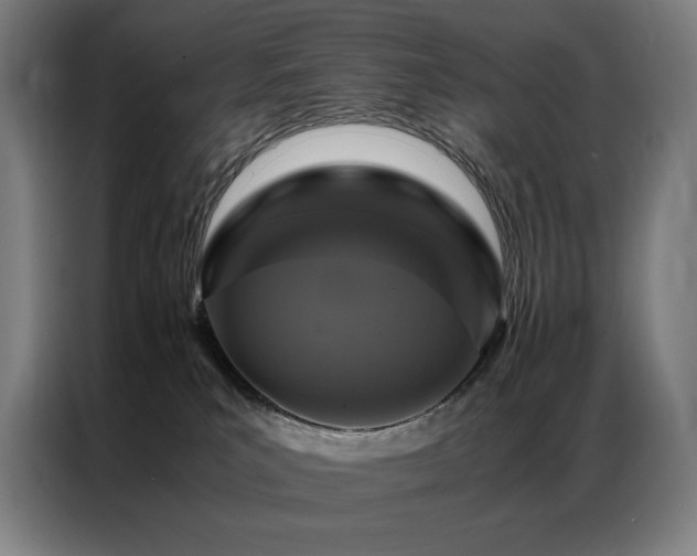 X0000087370039200704201235