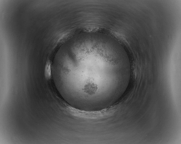 X0000087370042200704201235