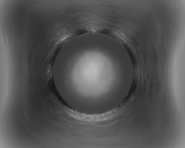 X0000087370043200704201235