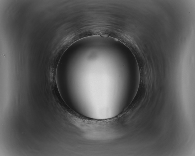 X0000087370044200704201235