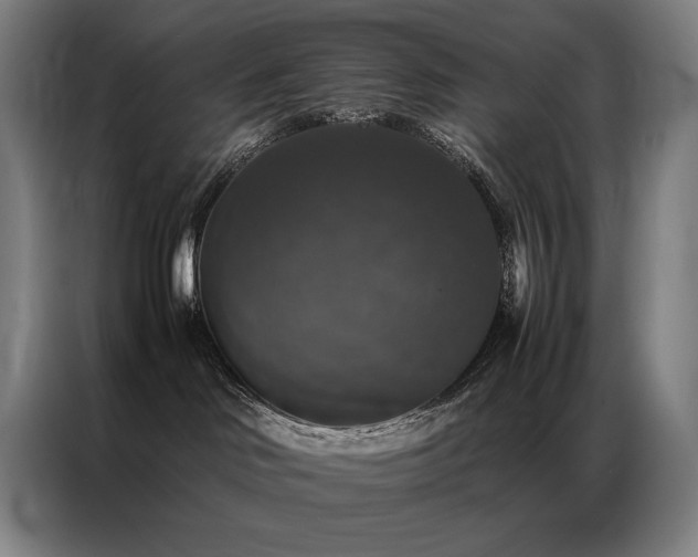 X0000087370046200704201235
