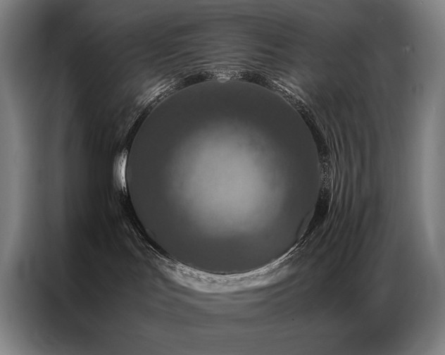 X0000087370047200704201235