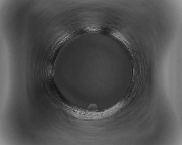 X0000087370048200704201235