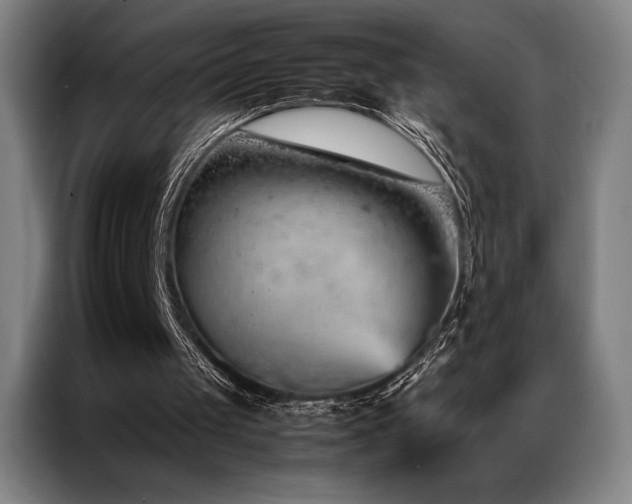 X0000087370049200704201235