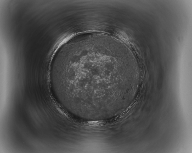 X0000087370050200704201235