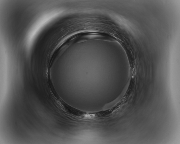 X0000087370052200704201235