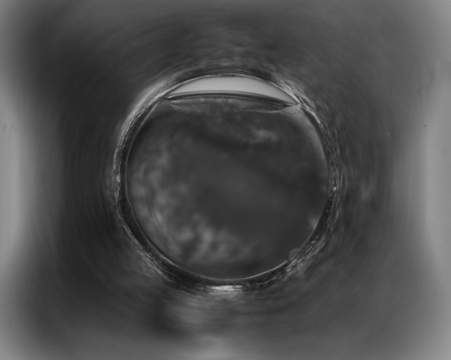 X0000087370053200704201235