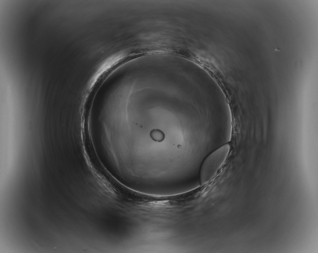 X0000087370054200704201235