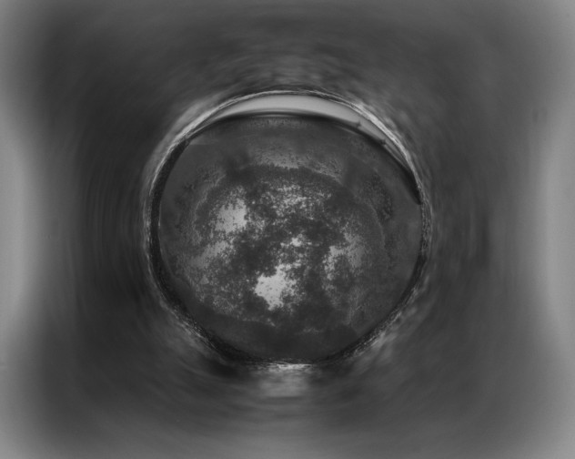 X0000087370055200704201235
