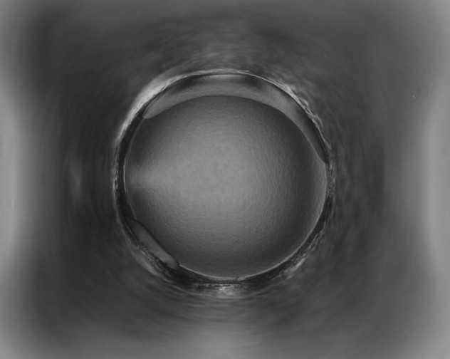 X0000087370056200704201235
