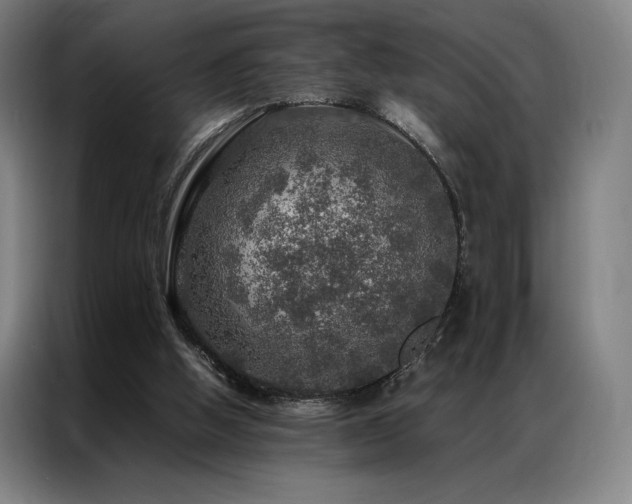 X0000087370058200704201235
