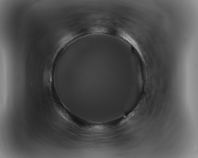 X0000087370059200704201235