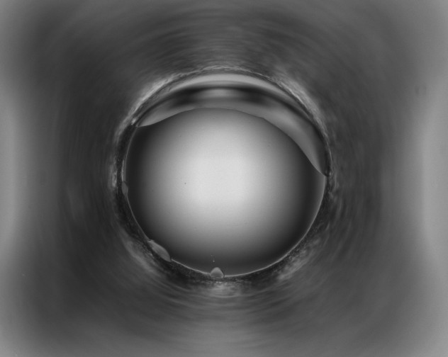 X0000087370060200704201235