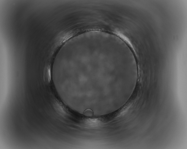 X0000087370061200704201235