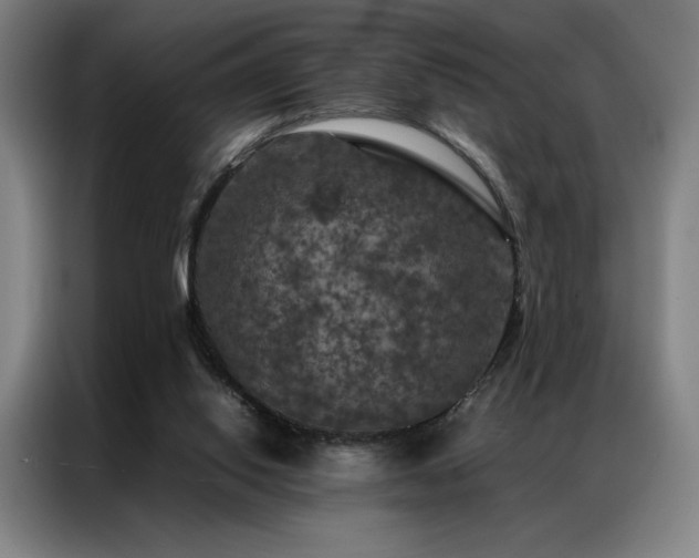 X0000087370062200704201235