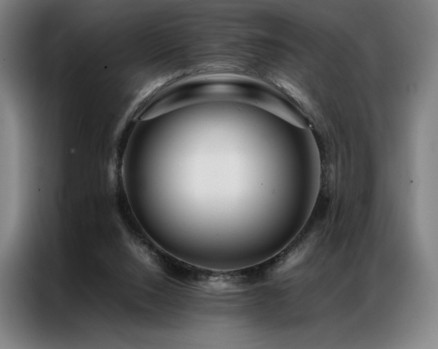 X0000087370064200704201235