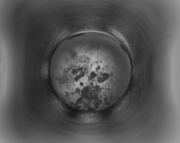 X0000087370065200704201235
