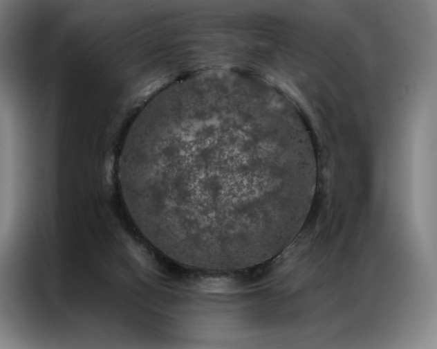 X0000087370066200704201235