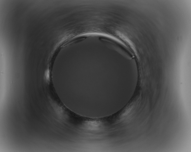 X0000087370067200704201235