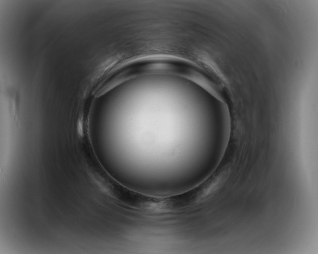X0000087370068200704201235