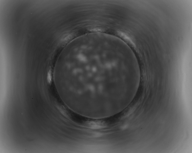 X0000087370069200704201235