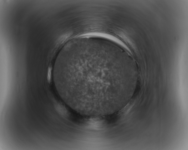 X0000087370070200704201235