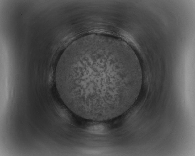 X0000087370073200704201235