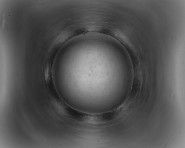 X0000087370074200704201235