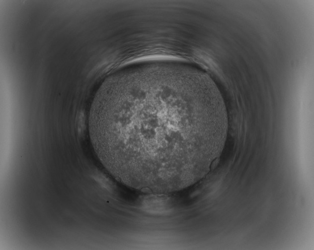 X0000087370077200704201235