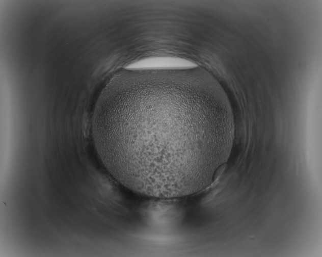 X0000087370078200704201235